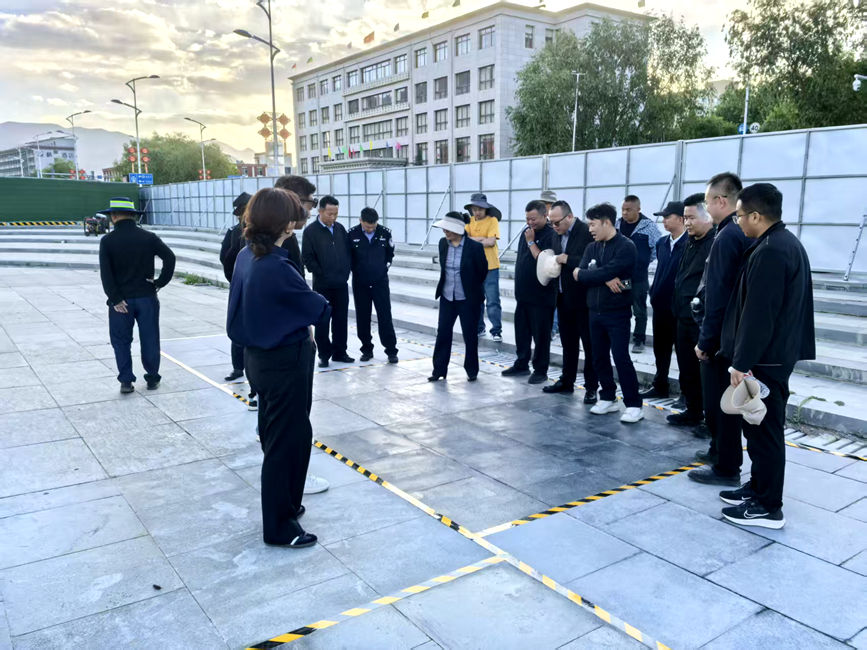 相關部門調研現場。拉薩高新區市政市容管理局供圖