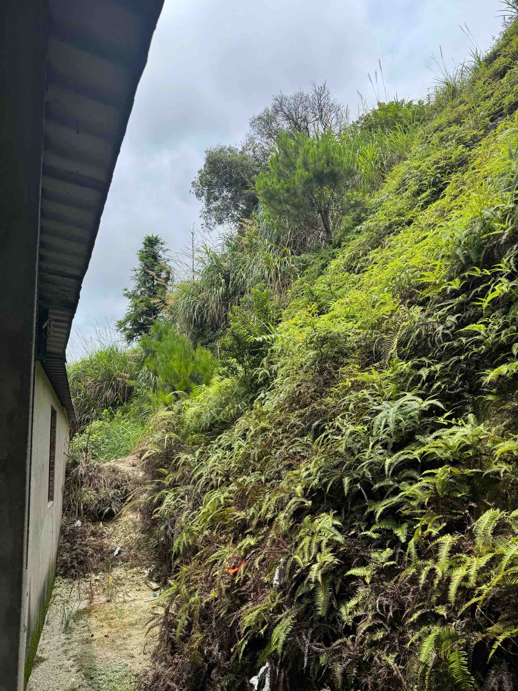 村民謝澤民所居住的房屋。受訪者供圖